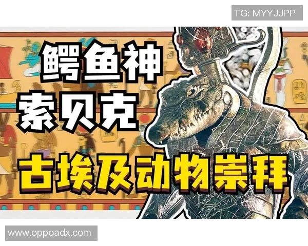 西藏足球历史十大球星排名揭晓 他们的光辉岁月与传奇故事