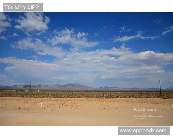 邢台足球球星崛起之路:从草根到职业的拼搏与荣耀 邢台足球球星崛起之路:从草根到职业的拼搏与荣耀