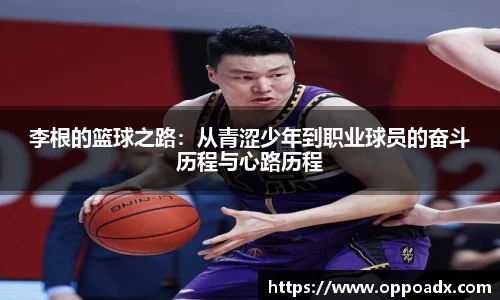 彩神VI首页官网
